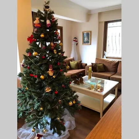 Apartment Comfy 3 House With Garden Istanbul